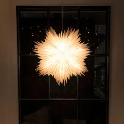 Adventsstjerner><noscript><img width=