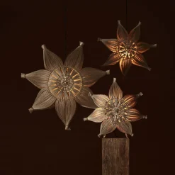 Adventsstjerner><noscript><img width=