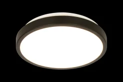 Kjøkkenbelysning Tak|Taklamper / Takplafonder>Aneta Lighting Anillo 30 cm taklampe 12W dimbar 3000 Kelvin