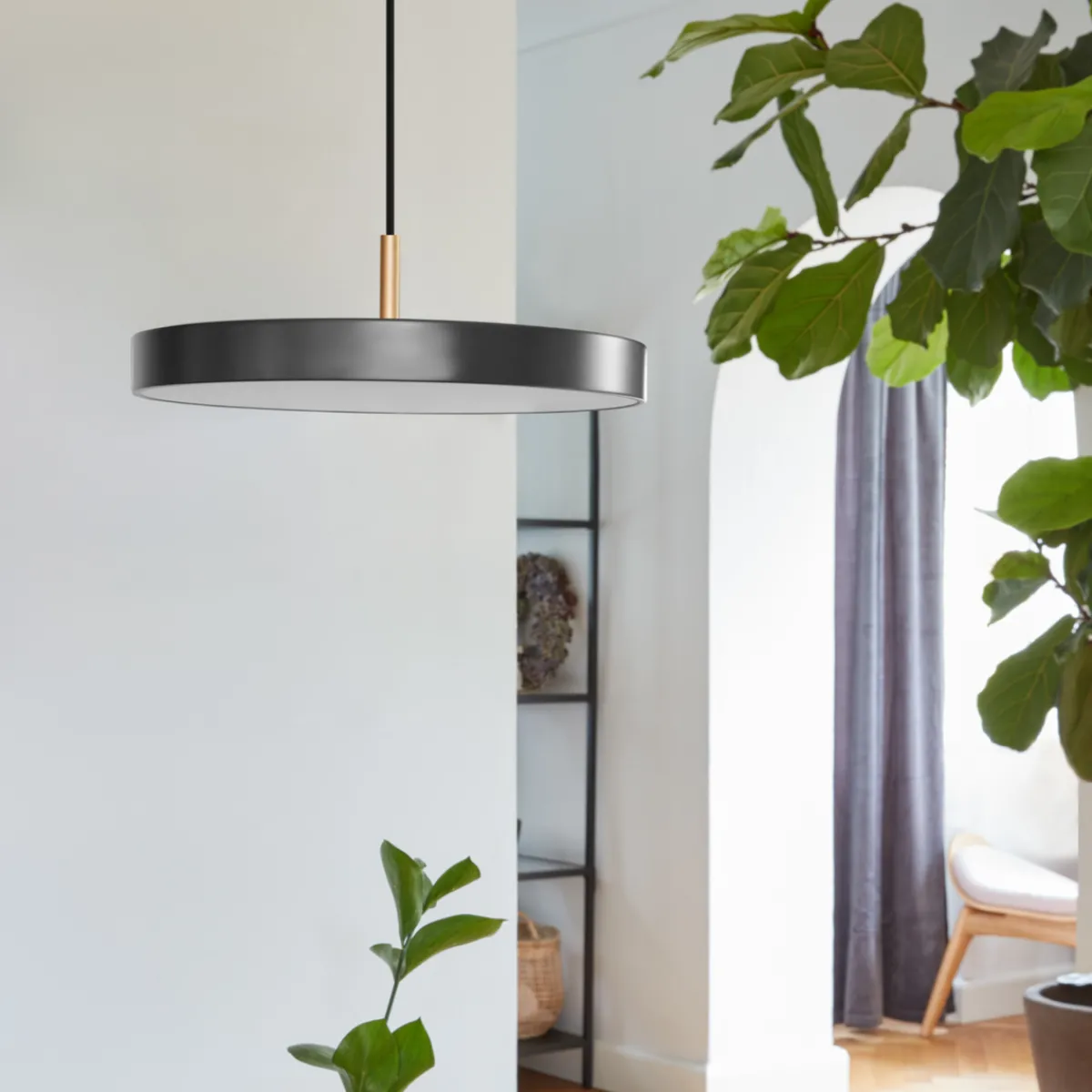 Kjøkkenbelysning Tak|Takpendler>Umage Asteria pendel