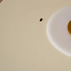 Kjøkkenbelysning Tak|Taklamper / Takplafonder><noscript><img width=