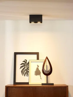 Kjøkkenbelysning Tak|Spotter & Skinner>Lucide Bodi dobbel takspot square 2xGU10