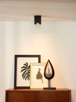 Kjøkkenbelysning Tak|Spotter & Skinner>Lucide Bodi takspot square GU10