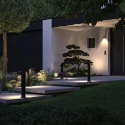 Pullert><noscript><img width=