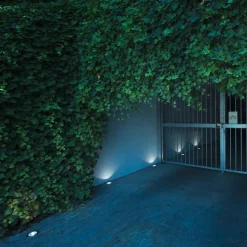 Uplights><noscript><img width=