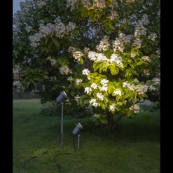 Spot På Spyd><noscript><img width=