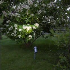 Spot På Spyd>Star Trading Focus uplight på spyd 30 cm utendørs GU10 IP44 - Svart