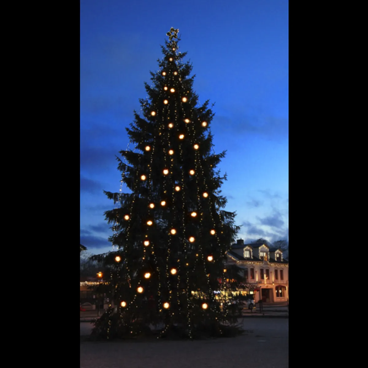 Lysslyngesystem 24V - Star Trading>Star Trading Forgrening ring System 24 IP44 Svart