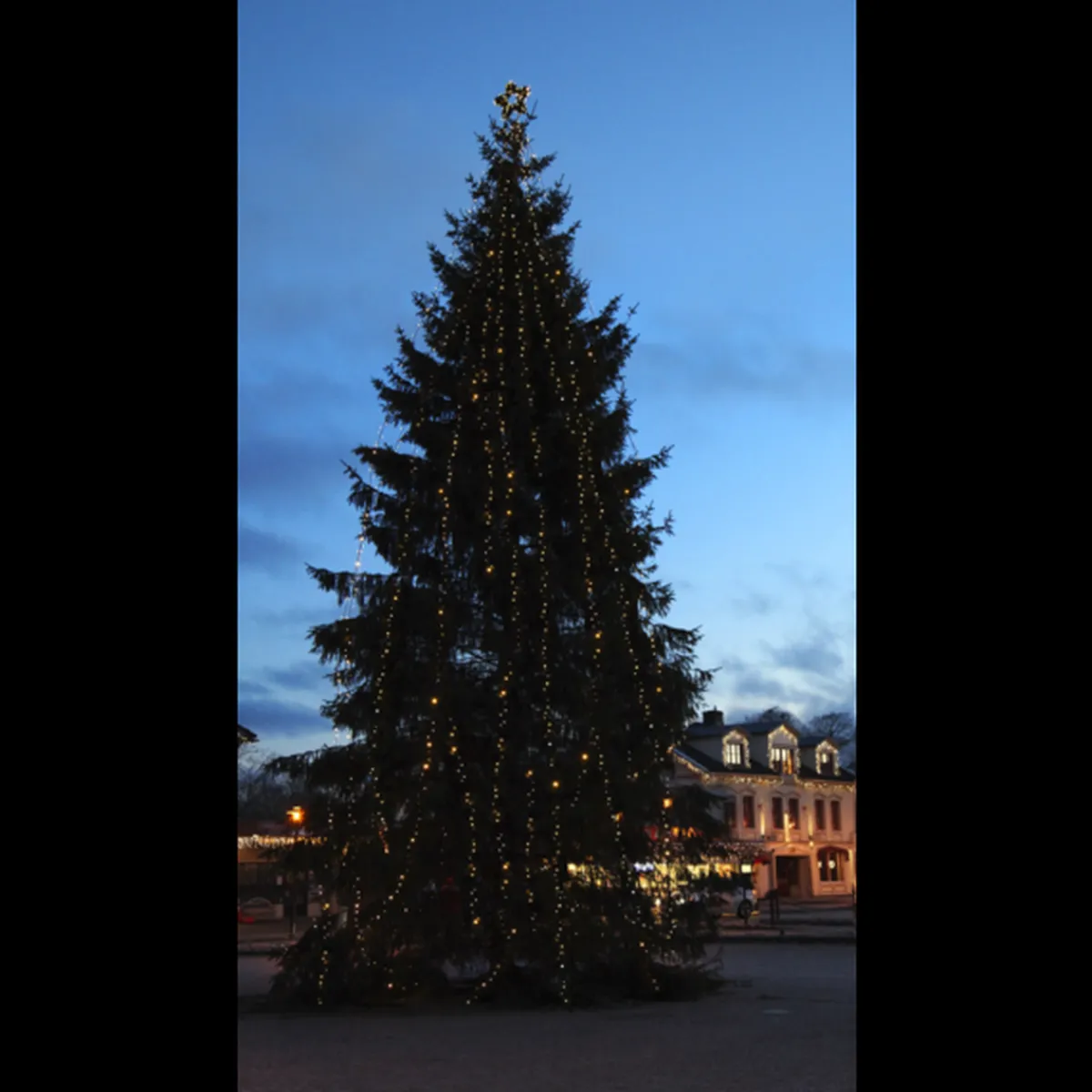 Lysslyngesystem 24V - Star Trading>Star Trading Forgrening ring System 24 IP44 Svart