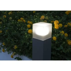 Pullert><noscript><img width=