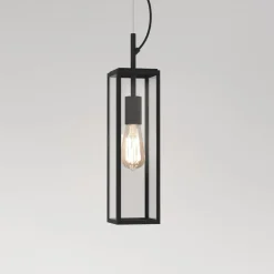 Taklamper Ute|Utendørs Downlights>Astro Lighting Harvard takpendel IP44 utendørs - Svart