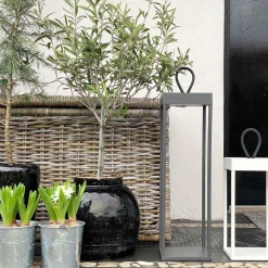 Lykter|Oppladbare Bordlamper><noscript><img width=