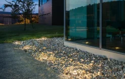 Uplights><noscript><img width=