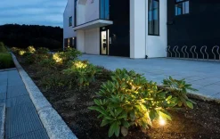 Uplights><noscript><img width=