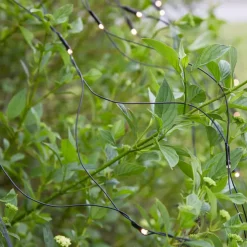 Garden 24 System>Marksløjd Lysnett 2x2m - Garden 24 - Svart