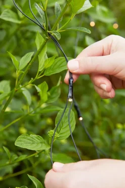 Garden 24 System><noscript><img width=