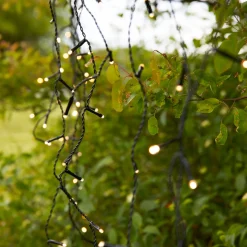 Garden 24 System><noscript><img width=