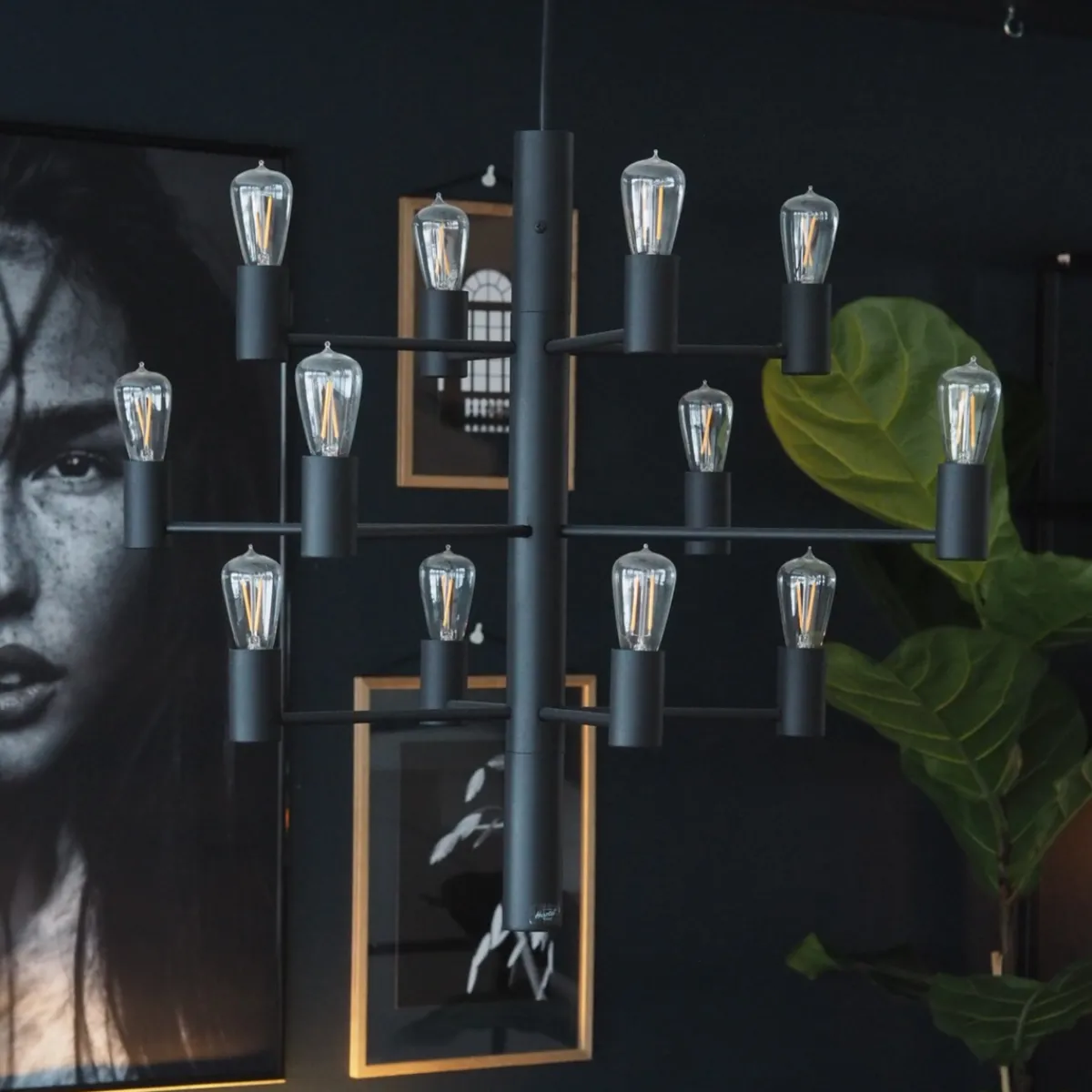 Kjøkkenbelysning Tak|Lysekroner>Herstal Manola 12 ink LED - Svart