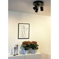 Kjøkkenbelysning Tak|Spotter & Skinner>Aneta Lighting Metz taklampe rund 3 spotter - Svart/Messing Svart / Messing