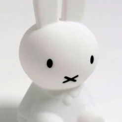 Barneromsbelysning><noscript><img width=