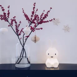 Barneromsbelysning><noscript><img width=