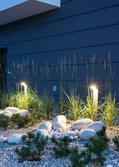 Lightup-Pris|Pullert><noscript><img width=