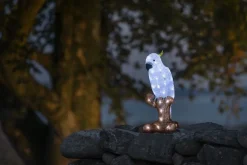 Hagefigurer><noscript><img width=