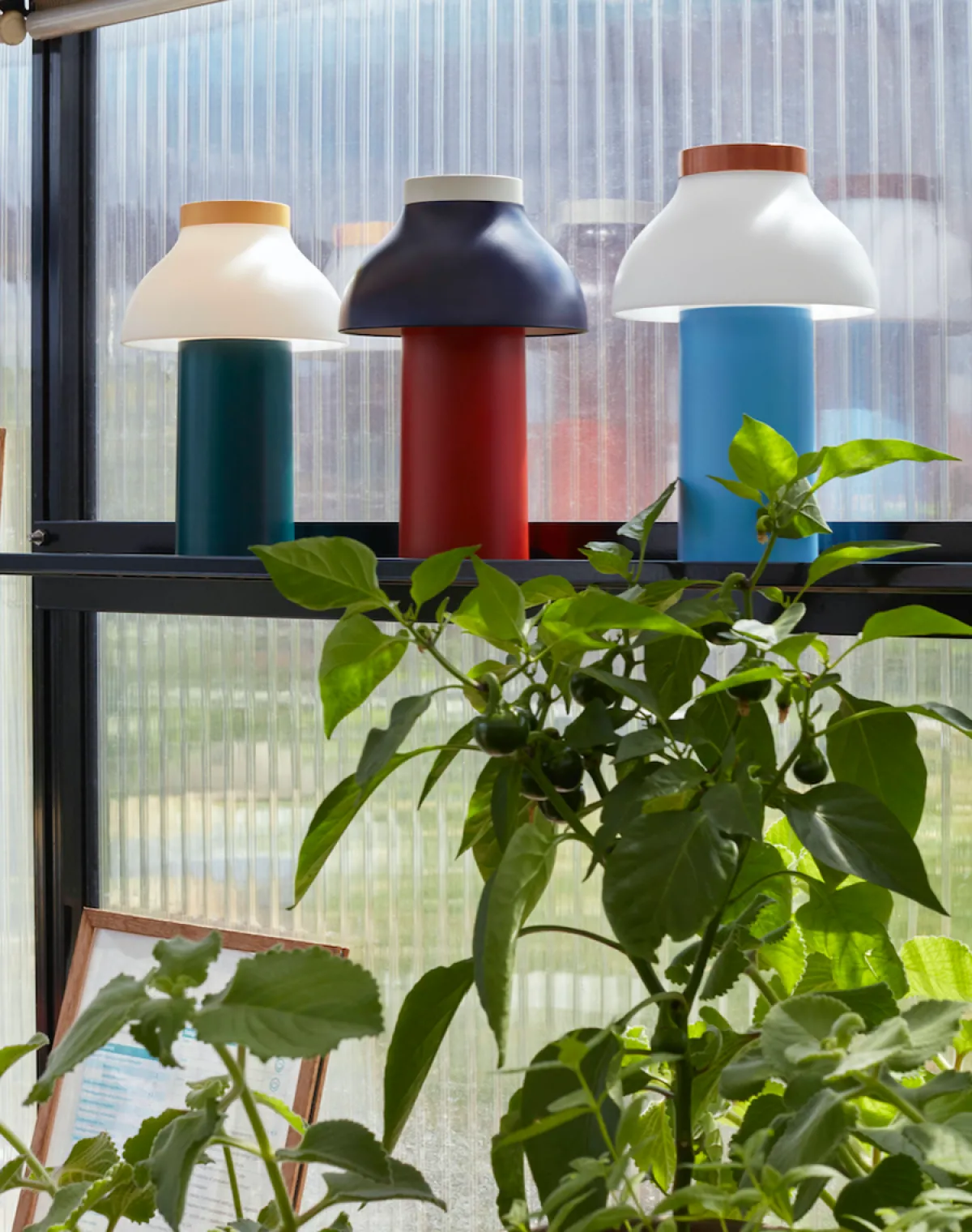 Oppladbare Bordlamper>HAY PC Portable table lamp - Grønn