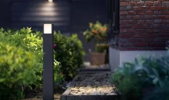 Pullert><noscript><img width=