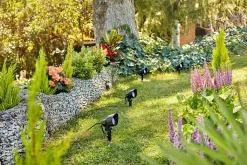 Uplights|Philips Gardenlink><noscript><img width=