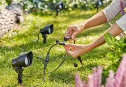 Uplights|Philips Gardenlink><noscript><img width=