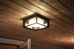 Utelamper - Veggskjold / Plafond|Philips Hue><noscript><img width=