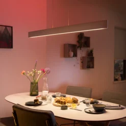 Kjøkkenbelysning Tak|Philips Hue>Philips Hue Ensis takpendel white and colore bluetooth