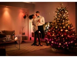 Lysslynger|Lysslynger><noscript><img width=