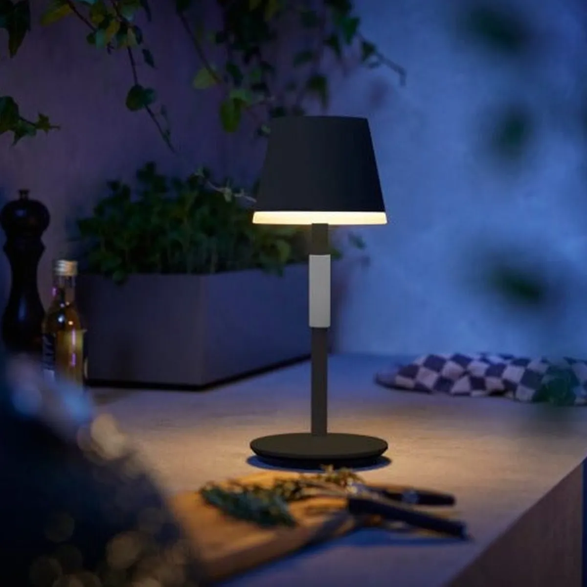 Oppladbare Bordlamper|Philips Hue>Philips Hue Go bærbar bordlampe oppladbar