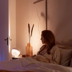 Philips Hue><noscript><img width=