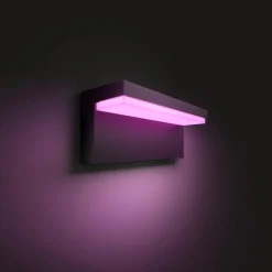 Utelamper - Veggskjold / Plafond|Philips Hue>Philips Hue Nyro vegglampe utendørs white and color ambiance - Svart