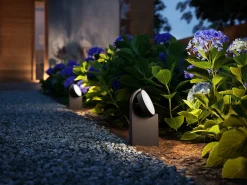 Pullert><noscript><img width=