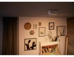 Kjøkkenbelysning Tak|Spotter & Skinner>Philips myLiving dobbel takspot 2x4,5W warmglow