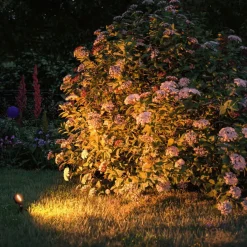 Spot På Spyd|Plug & Shine System>Paulmann Plug & Shine Sting spot med spyd 6,4W 3000 Kelvin IP67 - 3 pakning utbyggingssett Antrasitt