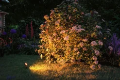 Spot På Spyd|Plug & Shine System><noscript><img width=