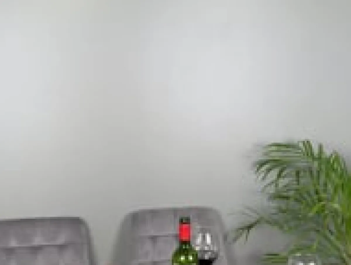 Kjøkkenbelysning Tak|Taklamper / Takplafonder>Emibig Pregos taklampe 2 lys - Svart/Opal Svart / Opal