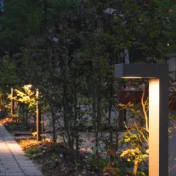 Pullert><noscript><img width=