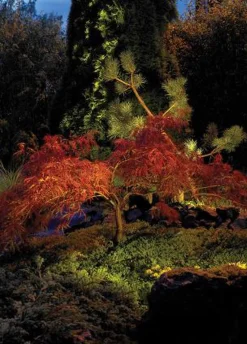 Lightup-Pris|Uplights>Norlys Rena 1551 uplight firkantet IP68 5,5W Stål/Klart glass