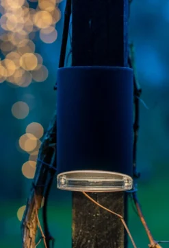 Utelamper Med Opp/Ned Lys>Dyberg Larsen Ribe vegglampe ned utendørs IP44 GU10 - Svart