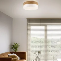 Kjøkkenbelysning Tak|Taklamper / Takplafonder>Trio Lighting Seasons taklampe Ø50