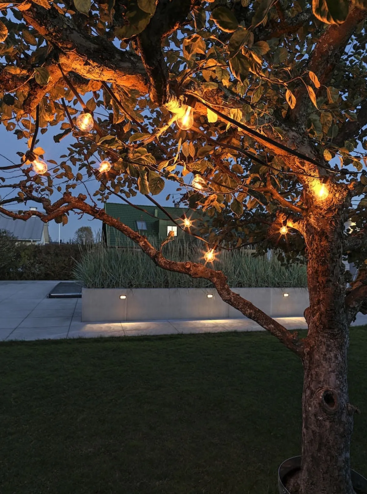 Lysslynger|Lysslynger>Konstsmide Startsett Lysslynge 10 lys med tykk ledning - Amber