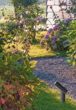 Spot På Spyd><noscript><img width=