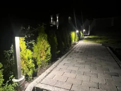 Pullert><noscript><img width=