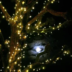 Juletrelys & Lysslynger>Trend Collection Utbygging Led slynge 50 lys 5,2 meter Svart